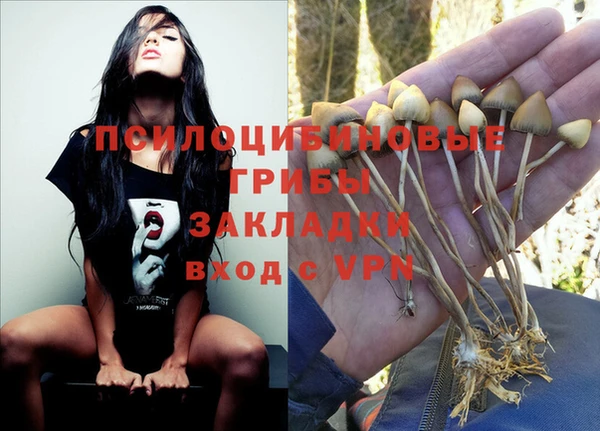 сатива Костерёво
