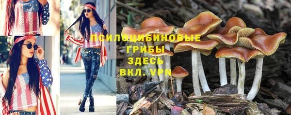 бутират Корсаков