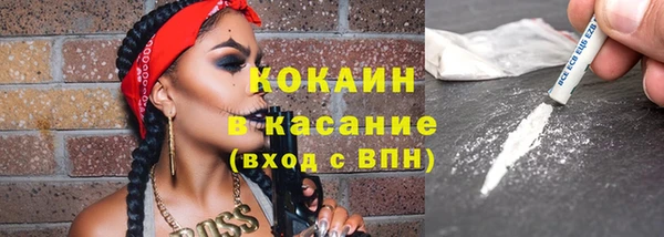 сатива Костерёво