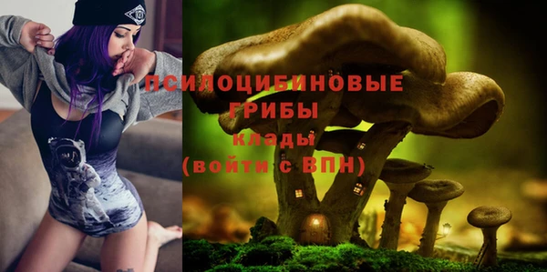 сатива Костерёво