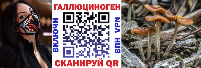 Галлюциногенные грибы прущие грибы  Купить где  Магадан 